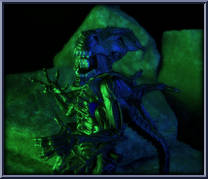 Alien Queen (with Deadly Chest-Hatchling) from Aliens - Series 1 manufactured by Kenner [Loose]