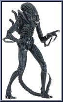 Alien Warrior (Blue) Action Figure