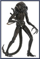 Alien Warrior (Brown) Action Figure