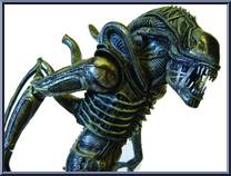 Classic Alien Warrior from Aliens - Basic Series manufactured by Neca [Loose]