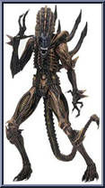 Scorpion Alien from Aliens - Series 13 manufactured by Neca [Loose]