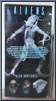 Xenomorph (Albino Drone) from Aliens - Series  9 manufactured by Neca [Back]