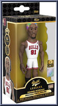 Dennis Rodman (Bulls) (Colored Hair) from Basketball - Vinyl Gold - 5" Scale manufactured by Funko [Front]