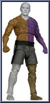 Metamorpho