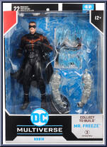 Robin from DC Multiverse - Batman & Robin manufactured by McFarlane [Front]