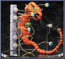 Dobkeradops from Figma - R-Type manufactured by Max Factory [Loose]