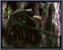 Jungle-Viper (Jungle Assault) from G.I. Joe - Pursuit of Cobra - Basic Series manufactured by Hasbro [Loose]