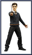 Harry Potter Action Figure