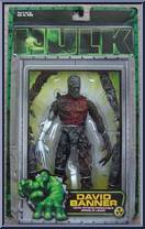 David Banner from Hulk - Motion Picture - Series 3 manufactured by Toy Biz [Front]