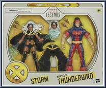 Storm / Thunderbird from Marvel Legends - 20th Anniversary X-Men - Exclusives manufactured by Hasbro [Front]