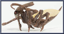 Brood Queen [Build-A-Figure] from Marvel Legends - Queen Brood Series manufactured by Hasbro [Loose]