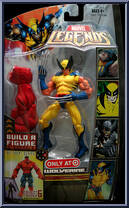 Wolverine (Blue & Yellow Tiger Stripes) from Marvel Legends - Red Hulk Series manufactured by Hasbro [Front]