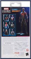 Miles Morales (Brooklyn 2099 Suit) (Gamerverse) from Marvel Legends - Infinite Series - Spider-Man 2 manufactured by Hasbro [Back]
