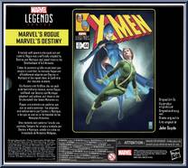 Rogue / Destiny from Marvel Legends - Infinite Series - X-Men manufactured by Hasbro [Back]