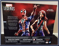 Spider-Man / Mary Jane Watson from Marvel Legends - Infinite Series - Exclusives manufactured by Hasbro [Back]