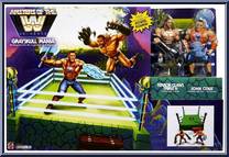 Grayskull Mania from Masters of the WWE Universe - Rings manufactured by Mattel [Front]
