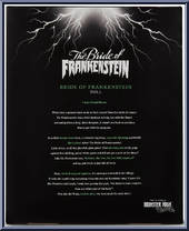Bride of Frankenstein / Frankenstein from Monster High - Skullector manufactured by Mattel [Back]