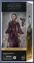 Padme Amidala from Star Wars - Black Series (2020) - Phantom Menace manufactured by Hasbro [Front]
