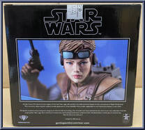 Starkiller Hero (Concept) from Star Wars - Mini-Busts manufactured by Gentle Giant [Back]