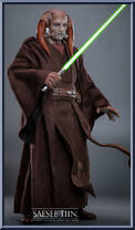 Saesee Tiin Action Figure