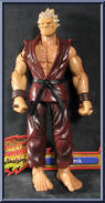 Akuma (Player 1) Action Figure