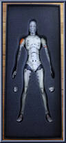 Synthetic Human Test Body from TOA Heavy Industries - 1/6 Scale manufactured by 1000toys [Front]