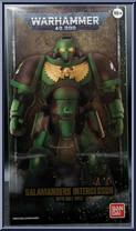 Salamanders Intercessor from Warhammer 40,000 - Basic Series manufactured by Bandai [Front]