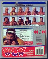 Rick Steiner (Gray Suit) from WCW - Series 1 - Released in US manufactured by Galoob [Back]
