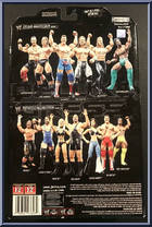 Paul Burchill from WWE Deluxe Aggression - Series 17 manufactured by Jakks Pacific [Back]