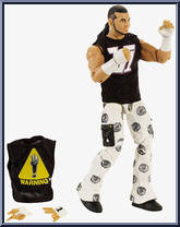 Matt Hardy Action Figure