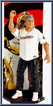 Shane McMahon Action Figure