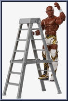 Shelton Benjamin from WWE Elite Collection - Series  63 manufactured by Mattel [Loose]