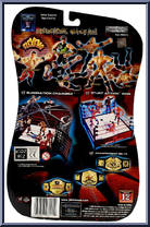 Rob Van Dam from WWE Flex 'Ems - Series  3 manufactured by Jakks Pacific [Back]