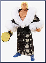 Ric Flair (Black Robe) Action Figure