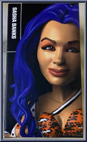 Sasha Banks (Blue Hair) from WWE - Loot Crate manufactured by Mattel [Front]
