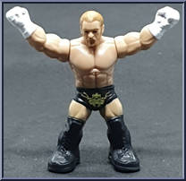 Triple H Action Figure