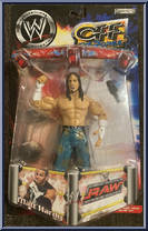 Matt Hardy Action Figure