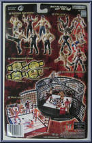 Triple H from WWE Pay Per View - Series  1 - Bad Blood manufactured by Jakks Pacific [Back]