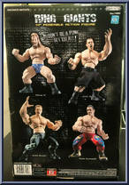 Triple H from WWE Ring Giants - Series  1 manufactured by Jakks Pacific [Back]