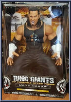 Matt Hardy Action Figure