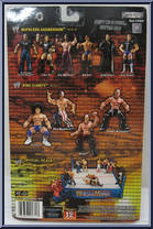 Chris Jericho from WWE Ruthless Aggression - Series 16.5 manufactured by Jakks Pacific [Back]