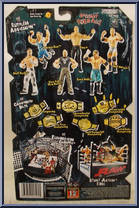 Rob Van Dam from WWE Ruthless Aggression - Series  9 manufactured by Jakks Pacific [Back]