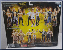Deuce / Cherry / Domino from WWE Treacherous Trios - Series  8 manufactured by Jakks Pacific [Back]