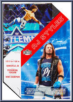 AJ Styles from WWE Ultimate Edition - Series 16 manufactured by Mattel [Back]