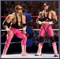 Bret Hit Man Hart / Jim The Anvil Neidhart from WWE Ultimate Edition - Coliseum Collection manufactured by Mattel [Loose]