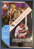 CM Punk from WWE Ultimate Edition - Exclusives manufactured by Mattel [Back]