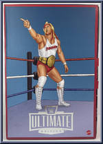 Hulk Hogan / Terry Funk from WWE Ultimate Edition - Coliseum Collection manufactured by Mattel [Front]