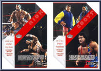 Steiners from WWE Ultimate Edition - Exclusives manufactured by Mattel [Back]