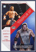 Triple H from WWE Ultimate Edition - Series  3 manufactured by Mattel [Back]