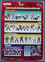 Test from WWF Summer Slam 99 - Road Rage manufactured by Jakks Pacific [Back]